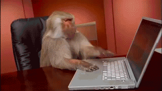 lavoro scimmia facebook condivisioni